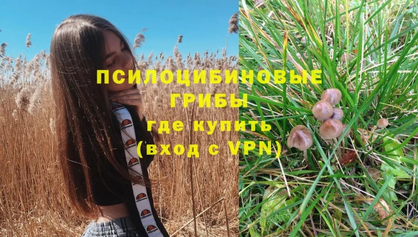 прущие крисы Козельск