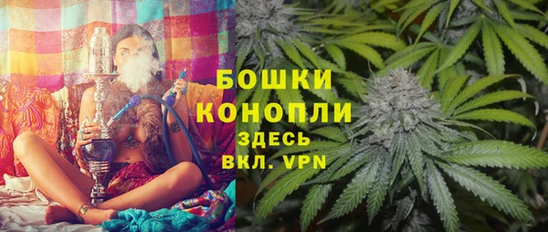 хмурый Кодинск