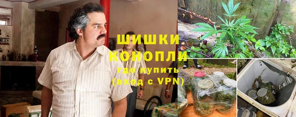 мдпв Костерёво