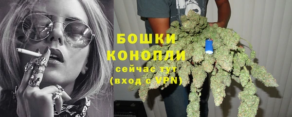 прущие крисы Козельск