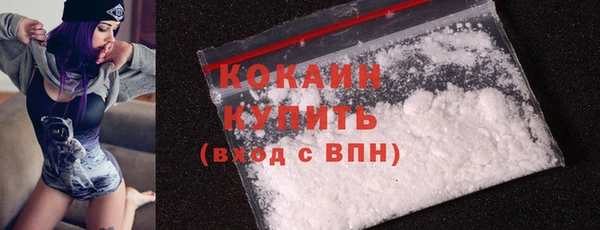 мдпв Костерёво