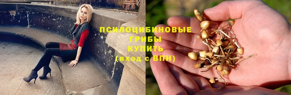 альфа пвп Козловка