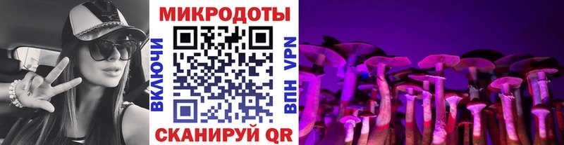 Купить где  Мариинск  Псилоцибиновые грибы MAGIC MUSHROOMS 